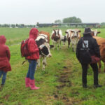 Bezoekers bekijken de weide van boerderij De Lindenhoffet het WNF