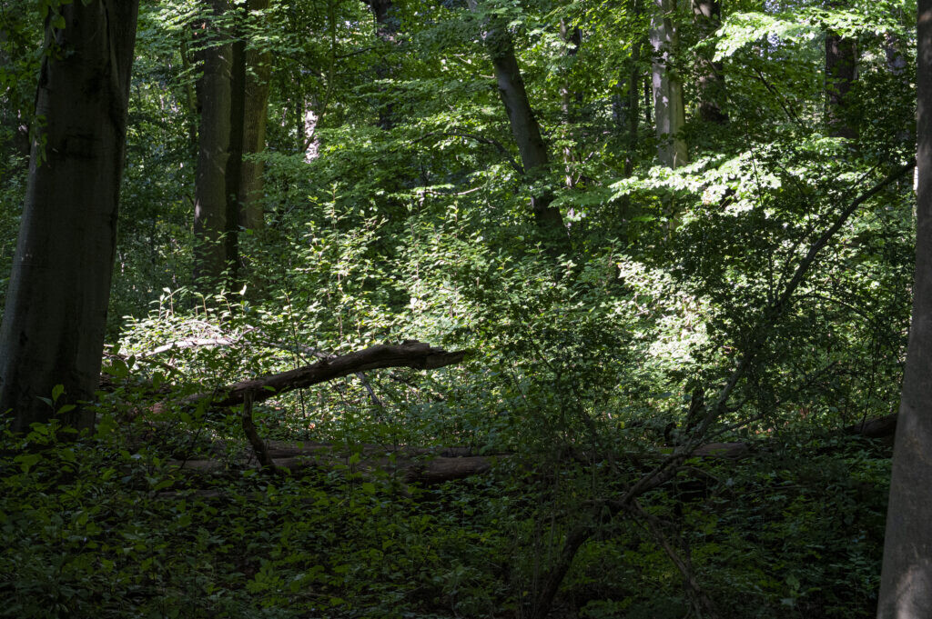 Amelisweerd. Foto: Harrie van Veen.
