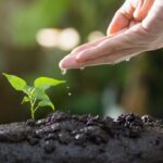 Lezing: Nederland op de schop!