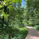 Cultuur, natuur & landschap op Landgoed Oostbroek