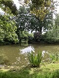 Woudreuzen in het Van Boetzelaerpark