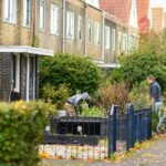 Webinar ‘Zet je buurt in bloei!’
