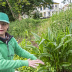 Vergroenen aan en op het water met tuincoach Harmke van Dam. Foto: Harrie van Veen