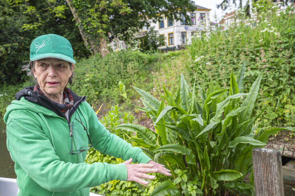 Vergroenen aan en op het water met tuincoach Harmke van Dam. Foto: Harrie van Veen