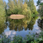 Fotowedstrijd Park Bloeyendael