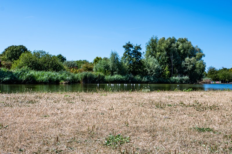 Droogte in het Griftpark, 12 augustus 2026. Foto: Harrie van Veen.