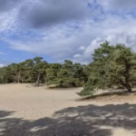 Wandeling rond de Tannenberg in Panbos